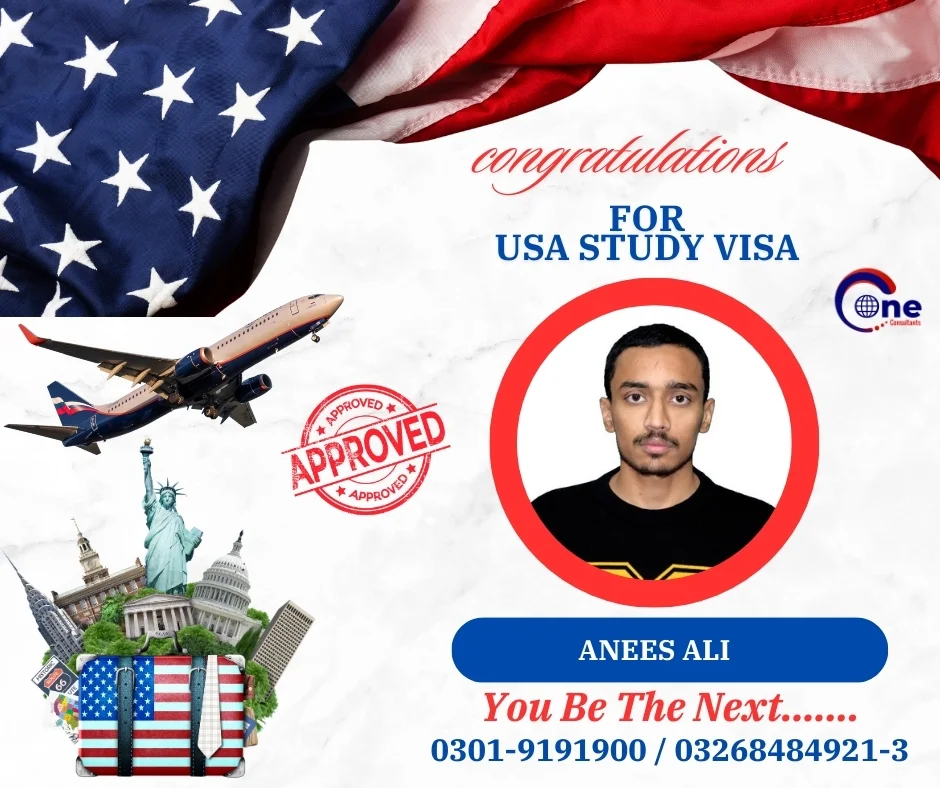 Visa Granted to Anees Ali
